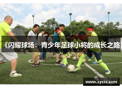 《闪耀球场：青少年足球小将的成长之路》